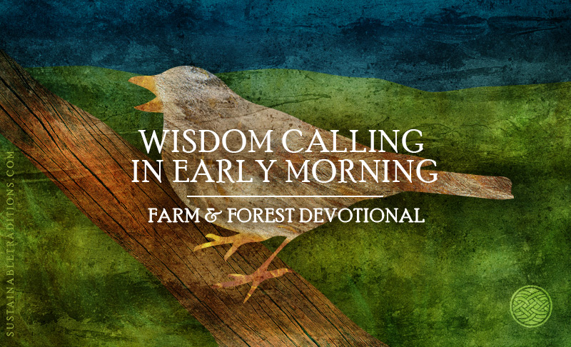 Wisdom Calling In Early Morning | Farm and Forest Devotional